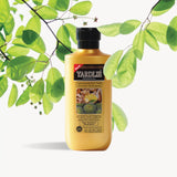 YARDLIE - GINGER & CACTUS ANTI HAIR LOSS SHAMPOO - 400-ML