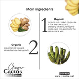 YARDLIE - 2 IN 1 ANTI HAIR FALL OIL & SERUM - 200ML